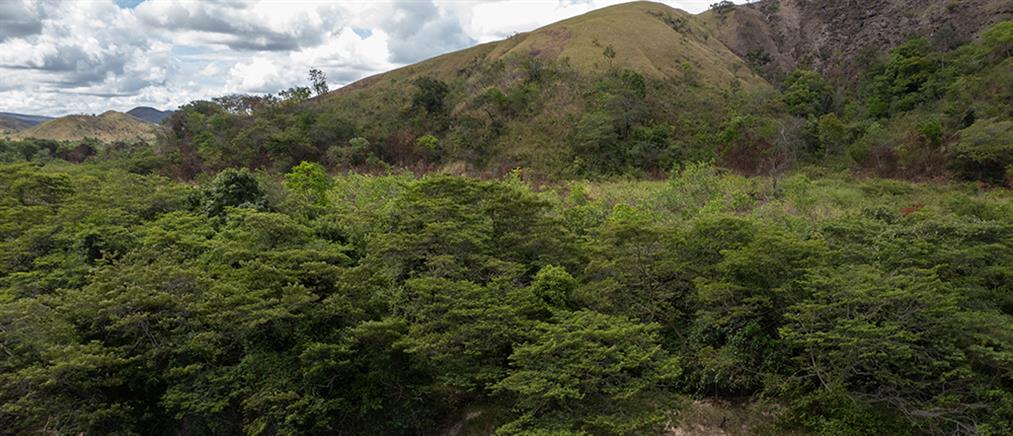Γουατεμάλα: Αίσιο τέλος στην εξαφάνιση των Γάλλων τουριστών σε ζούγκλα