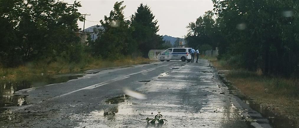 Γιάννενα - Κακοκαιρία: Πεσμένα δέντρα και κολώνες ηλεκτροδότησης (βίντεο)