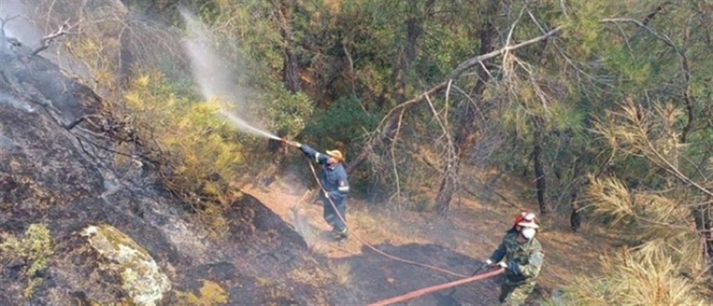 Σουφλί - Φωτιά στην Δαδιά: πυροσβεστική και στρατός δίνουν μάχη με τις φλόγες (εικόνες)