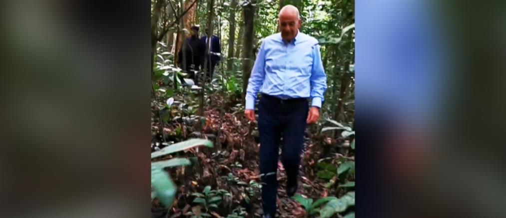 Δένδιας: Η βόλτα στο τροπικό δάσος του εθνικού δρυμού της Γκαμπόν (βίντεο)