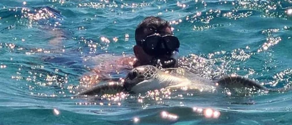 Ρόδος: Δύτης έκανε τεχνητή αναπνοή σε θαλάσσια χελώνα που μπλέχτηκε σε σχοινιά! (εικόνες)