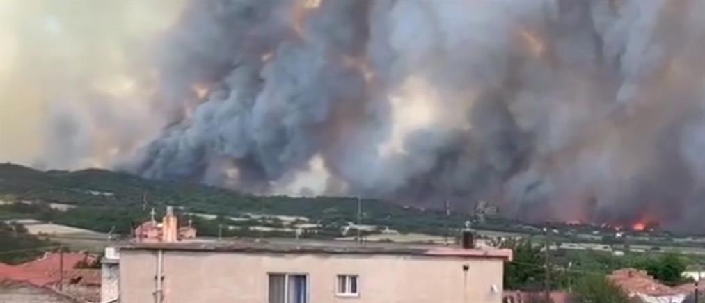 Η φωτιά στην Αλεξανδρούπολη έφτασε στα Παιδικά Χωριά SOS (βίντεο)