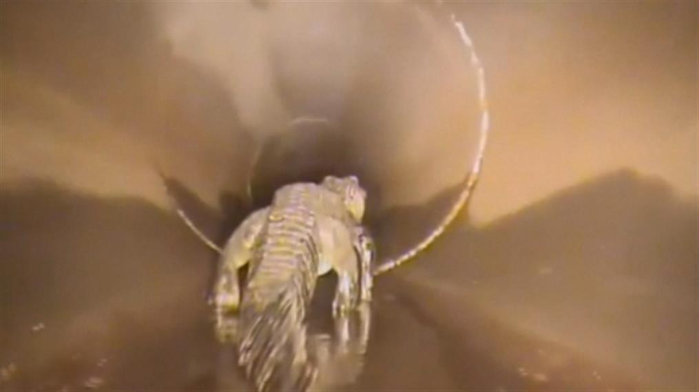 Φλόριντα: Κάμερα - ρομπότ “ξετρύπωσε” αλιγάτορα σε αγωγό όμβριων υδάτων