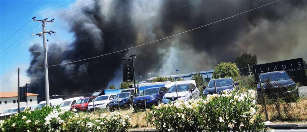 Μήνυμα του 112 για φωτιά στην Βάρης - Κορωπίου: “Παραμείνετε σε ετοιμότητα” (εικόνες)