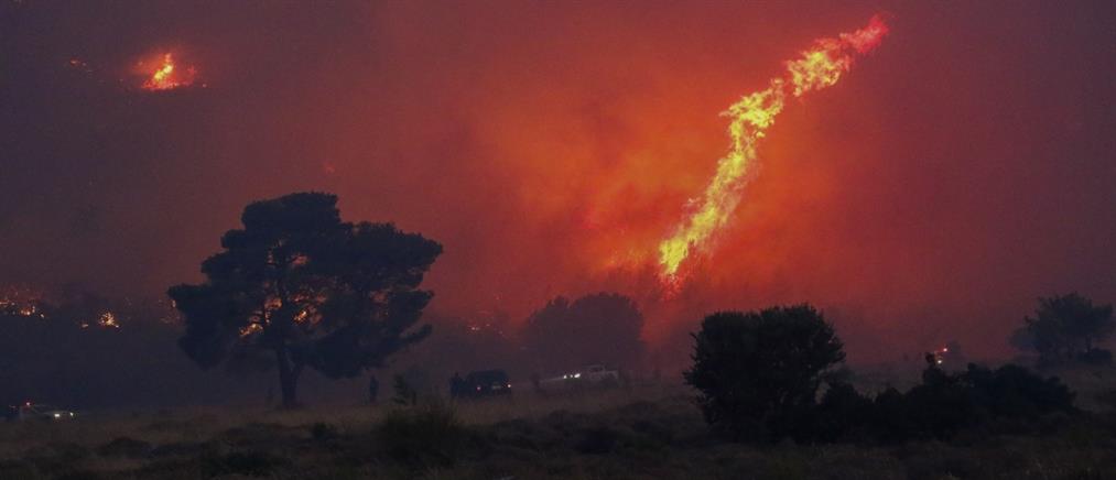 Φωτιές σε Έβρο - Ροδόπη: Κρίσιμη νύxτα για τις αναζωπυρώσεις