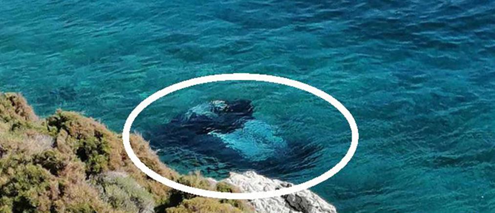 Κάλυμνος - Τροχαίο: Νεκρός οδηγός που έπεσε στην θάλασσα (εικόνες)
