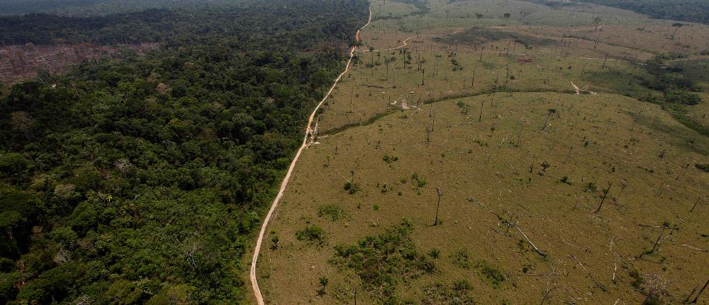 Αμαζόνιος: Αποψίλωση σε επίπεδα ρεκόρ (εικόνες)