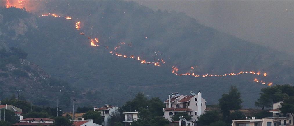 Πυρκαγιές Αττικής - Μέτρα στήριξης: Οι αντιδράσεις της αντιπολίτευσης, η κριτική και οι αναφορές σε "φιέστες"