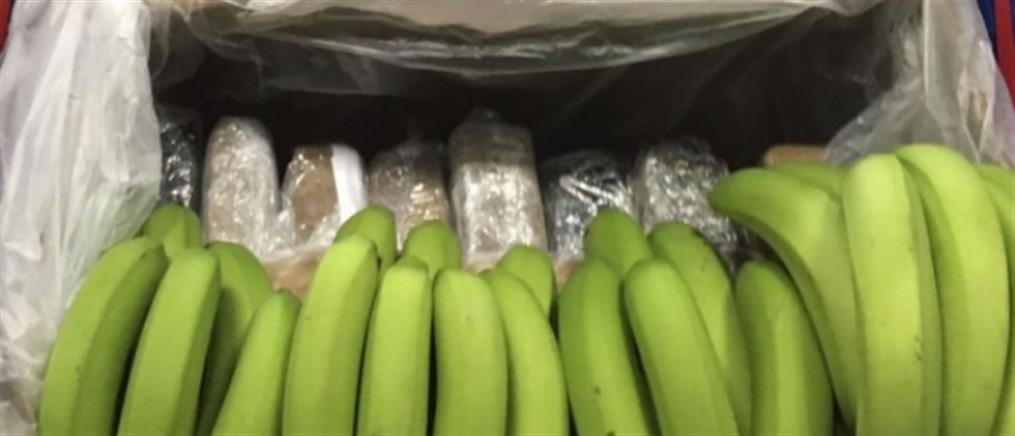 Ισημερινός: έκρυβαν 3,2 τόνους κοκαΐνης... σε κοντέινερ με μπανάνες