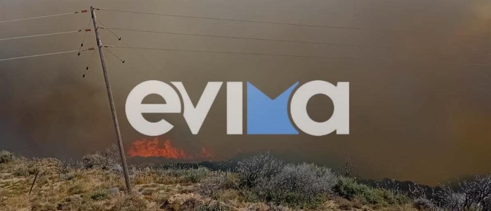 Φωτιά στην Εύβοια: εκκενώνονται χωριά (εικόνες)