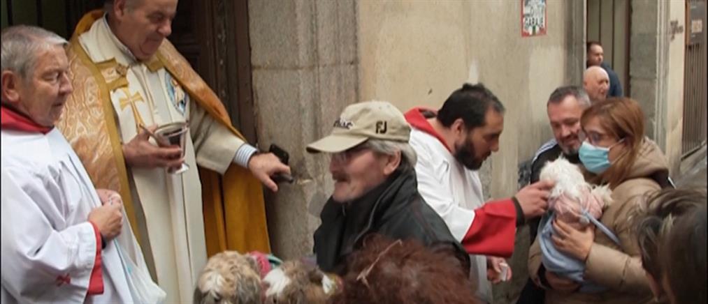 Άγιος Αντώνιος - Μαδρίτη: “Ουρές” έξω από εκκλησία για να... ευλογήσουν τα κατοικίδια τους (βίντεο)