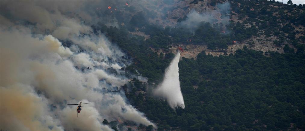 Μεσσηνία: Φωτιά στην Μεταξάδα - Στην μάχη τα εναέρια