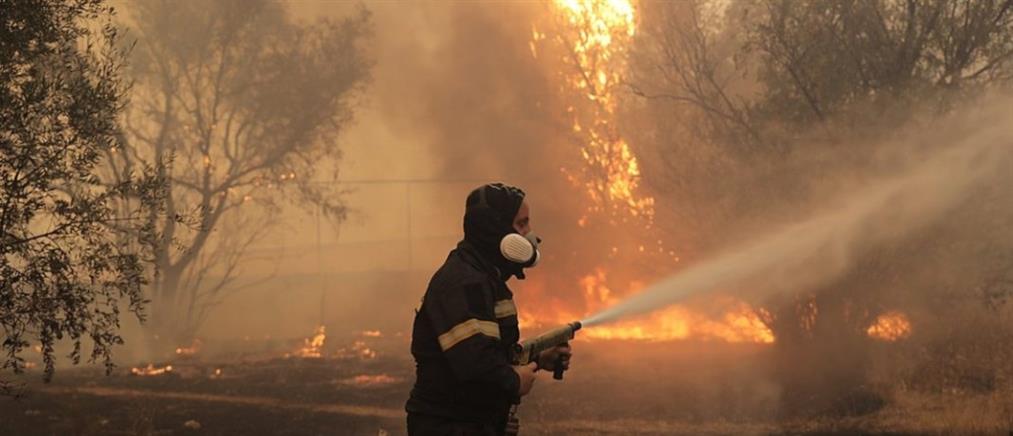 Φωτιές: Πύρινα μέτωπα σε όλη τη χώρα