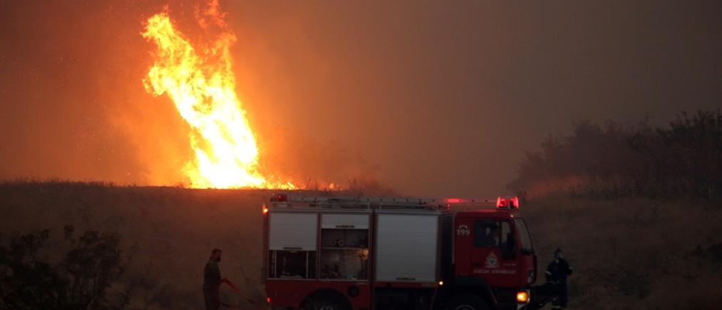 Φωτιά στην Εύβοια: Εκκενώσεις οικισμών σε Ψαχνά και Αρτάκη