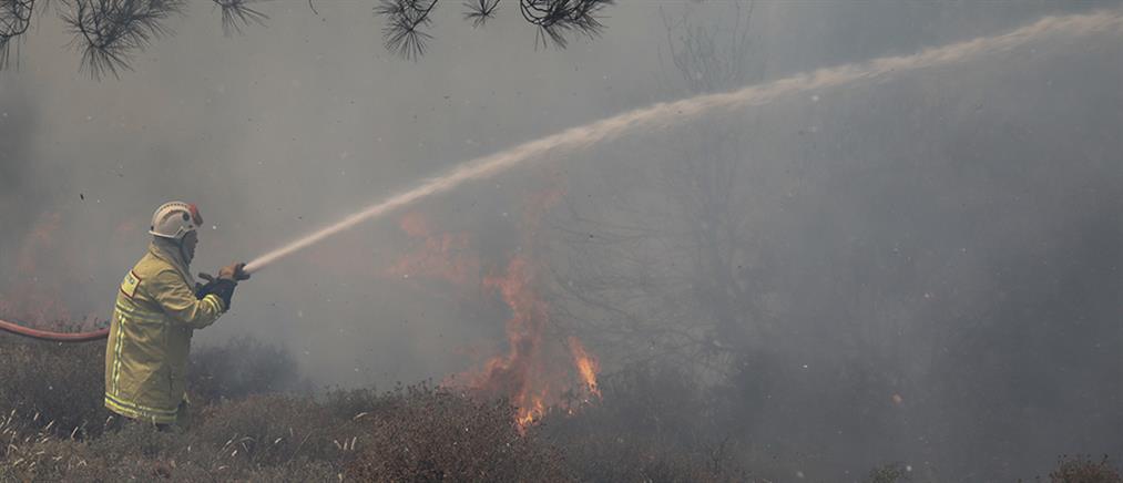 Δασικές πυρκαγιές: Απαγόρευση της κυκλοφορίας σε περιοχές υψηλού κινδύνου