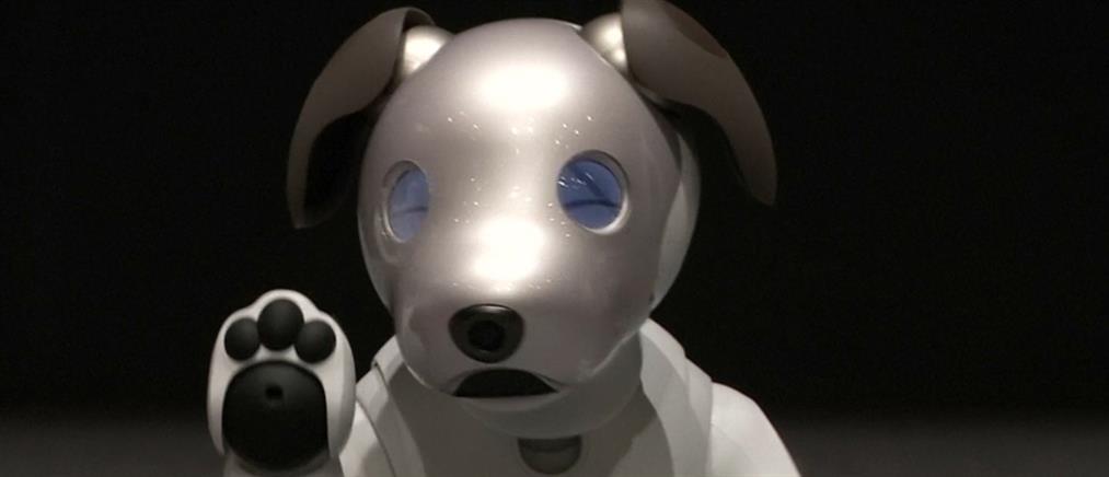 Βίντεο: αυτός είναι ο σκύλος – ρομπότ