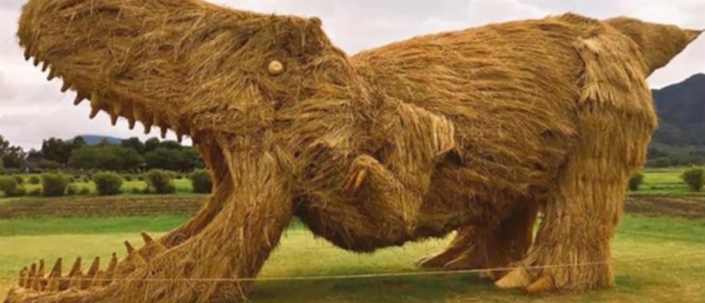 Γιγαντιαία αγάλματα ζώων από… ρύζι! Πραγματικά έργα τέχνης (φωτό)