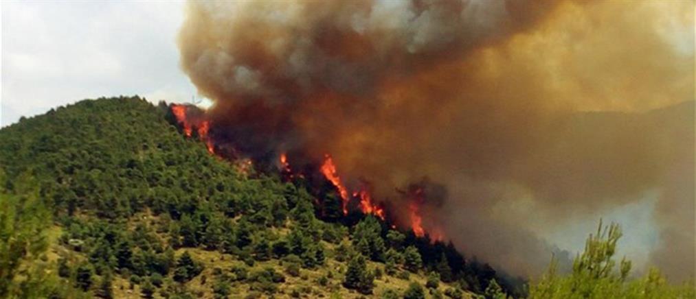 Πυρκαγιά σε δασική έκταση στο Σούλι Λακωνίας