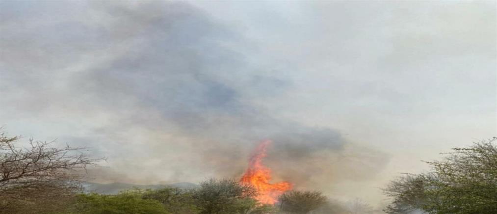 Μεγάλη δασική πυρκαγιά στη Λακωνία (εικόνες)