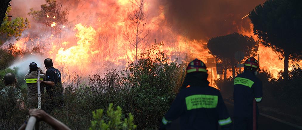 Οικονομική βοήθεια από την ΕΤΕπ στην Ελλάδα για την αντιμετώπιση δασικών πυρκαγιών
