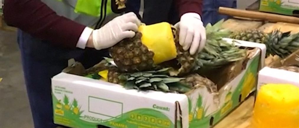 Εκατοντάδες κιλά κοκαΐνης μέσα σε ανανάδες! (βίντεο)