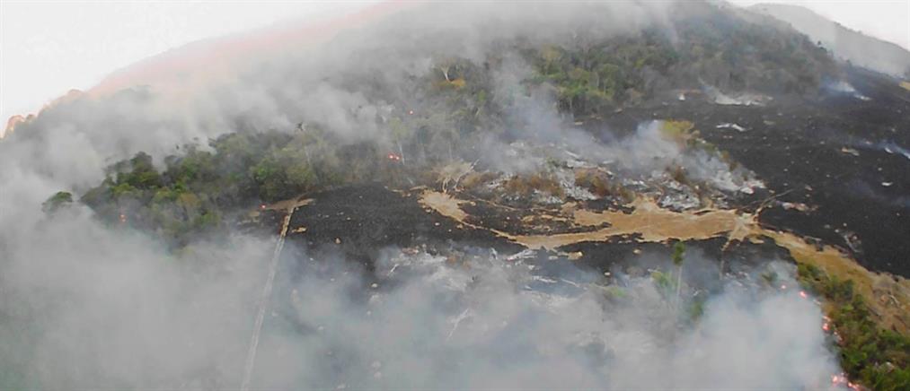 Αμαζόνιος: ρεκόρ πυρκαγιών τον Ιούνιο