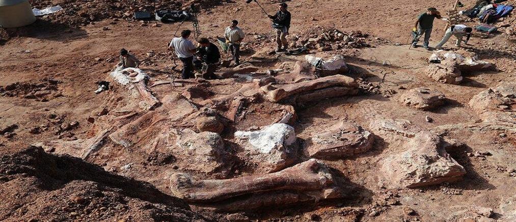 Ανακαλύφθηκε ο μεγαλύτερος δεινόσαυρος που έζησε στη Γη