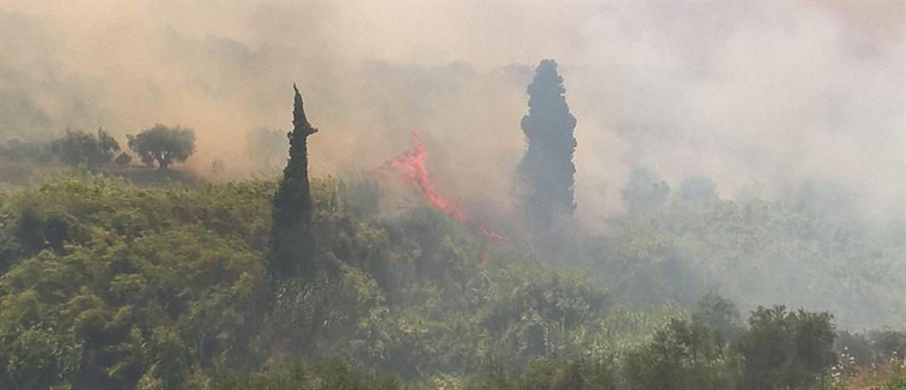 Μεγάλη φωτιά απειλεί σπίτια στην Κορώνη