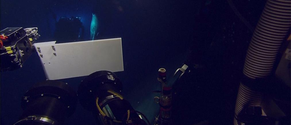 Φάλαινα φυσητήρας «ενοχλήθηκε» από υποβρύχιο σκάφος