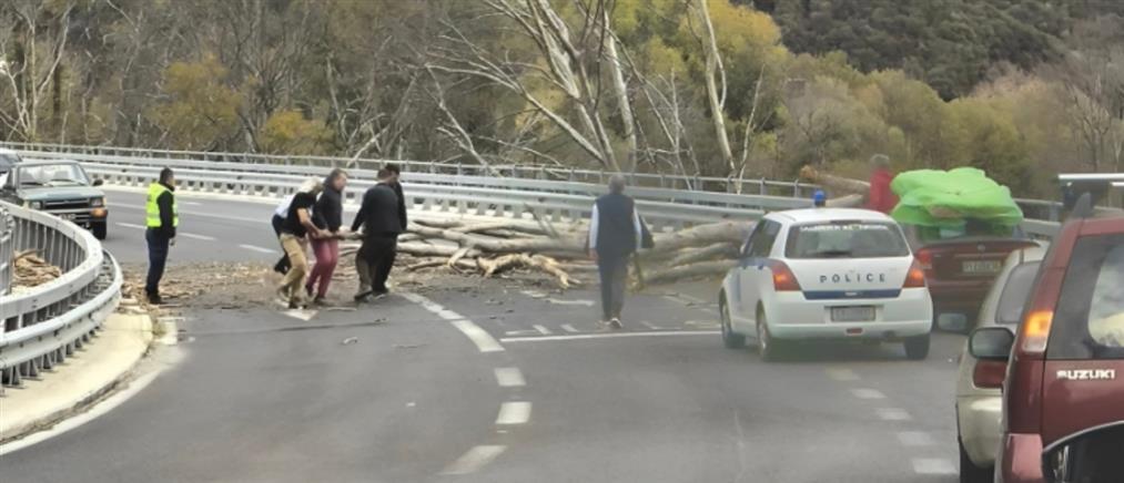 Τέμπη: Δέντρο έπεσε στον δρόμο (εικόνες)