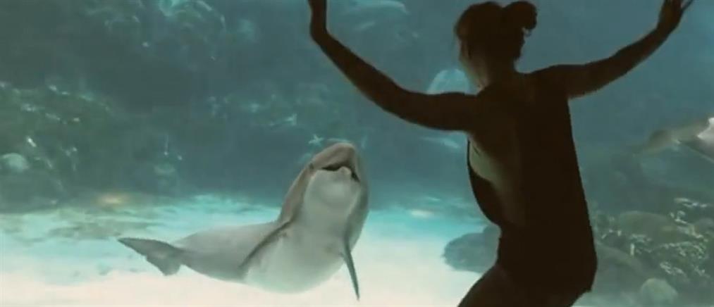 Ένα κορίτσι που κάνει το δελφίνι να… «γελάσει»