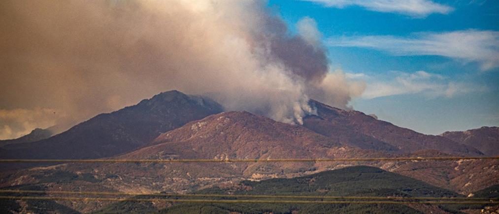 Ροδόπη: Μεγάλη φωτιά στο Παπίκιο Όρος (εικόνες)
