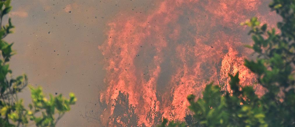 Μαίνεται η πυρκαγιά στην Αιτωλοακαρνανία, σε ύφεση στα Ίσθμια
