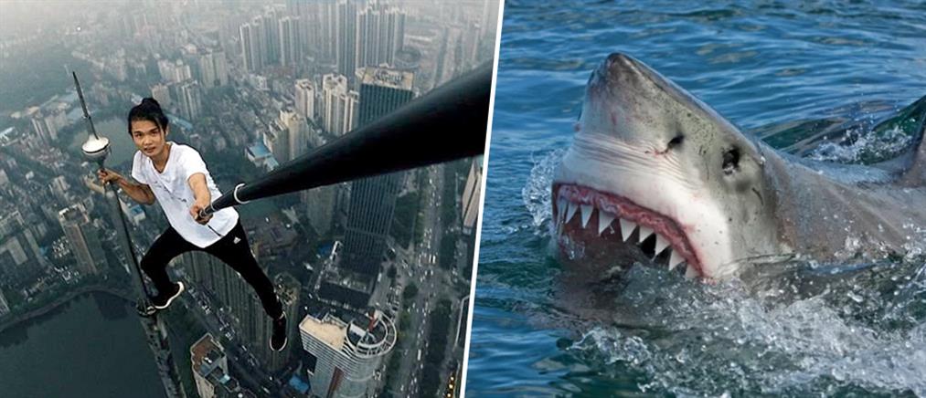 Selfies εναντίον επιθέσεων καρχαριών: ποιες είναι πιο φονικές;