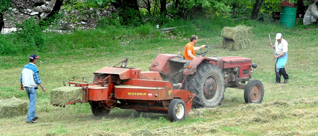 Γεωργαντάς για αγρότες: οι δηλώσεις ΟΣΔΕ, η ΚΑΠ και το νέο πρόγραμμα συμβουλών