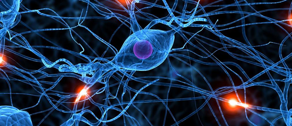 Ανακάλυψη: “νευρώνες του τραγουδιού” βρέθηκαν στον ανθρώπινο εγκέφαλο