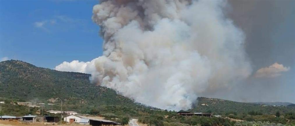 Ροδόπη: Φωτιά στη Νέα Σάντα (εικόνες)