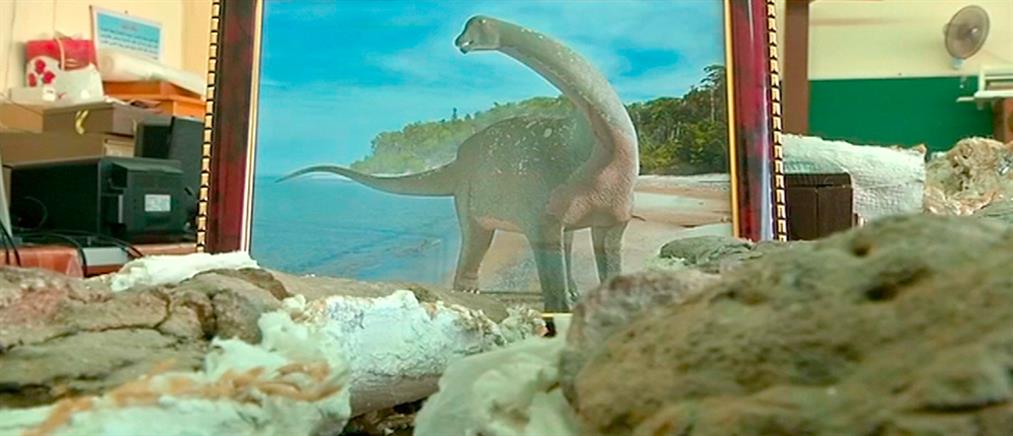 Οι πρώτες εικόνες του δεινοσαύρου 80 εκατ. ετών που βρέθηκε στην Αίγυπτο (βίντεο)