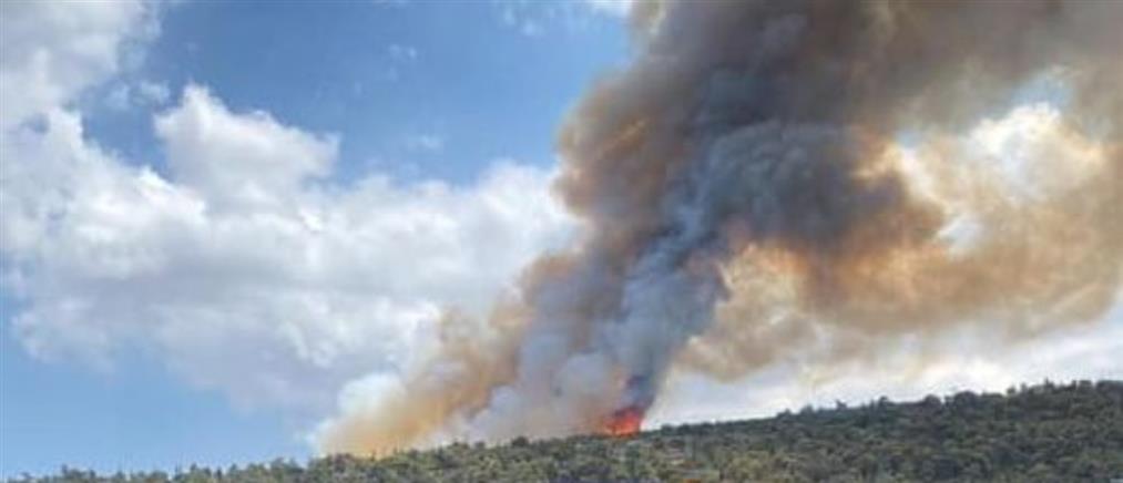 Φωτιά στα Γλυκά Νερά, σηκώθηκαν εναέρια μέσα (βίντεο)