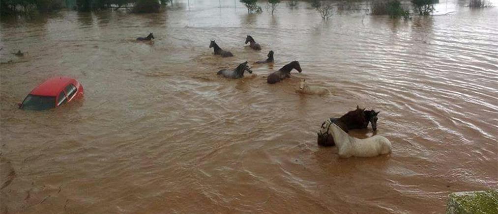 Σε “κόκκινο συναγερμό” η Μάλαγα από τις φονικές πλημμύρες (φωτο+βίντεο)