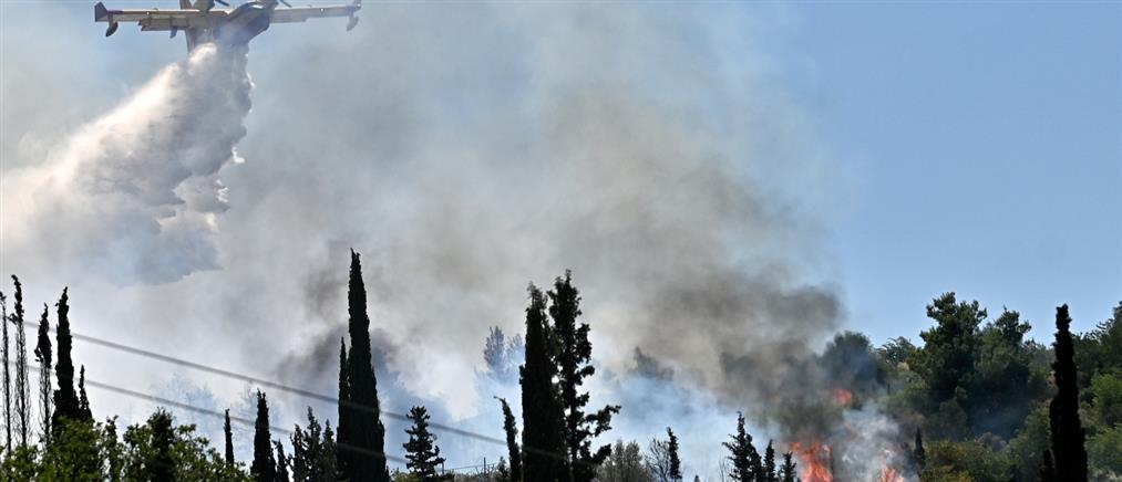 Φωτιά στον Ωρωπό: Μήνυμα του 112 στους κατοίκους