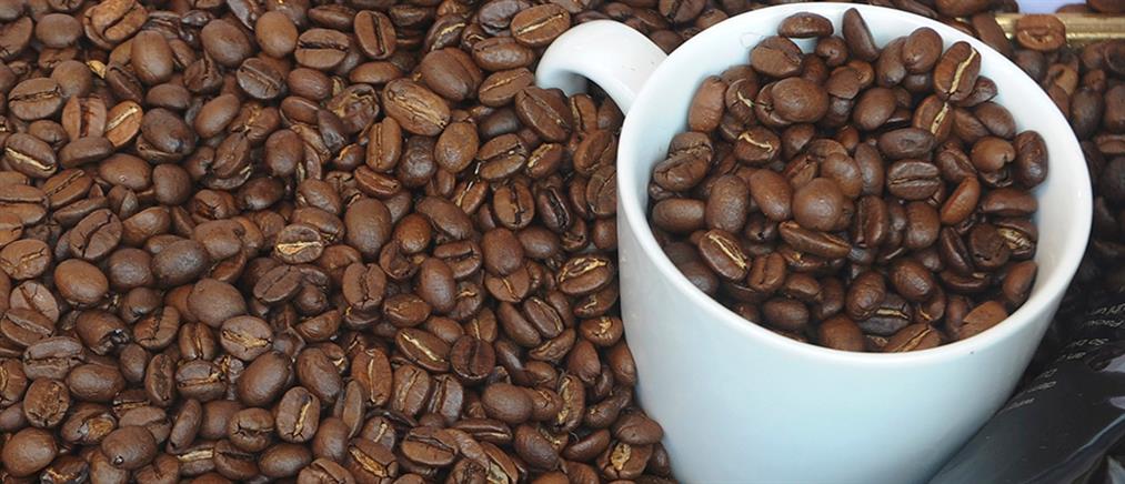 Αποκωδικοποιήθηκε το DNA του καφέ “αράμπικα”