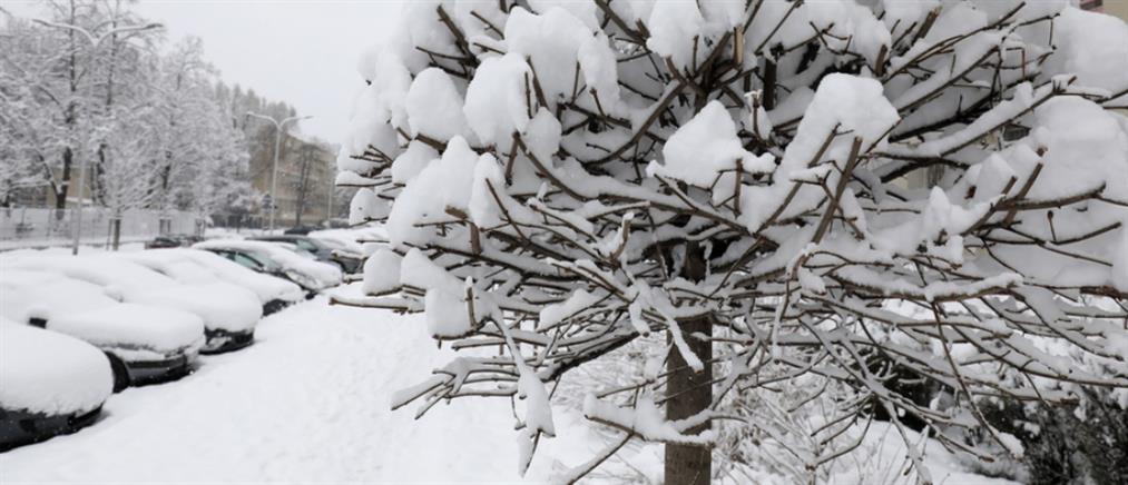 ΕΜΥ - Επικαιροποίηση Δελτίου: Χιόνια,  πτώση θερμοκρασίας και θυελλώδεις άνεμοι