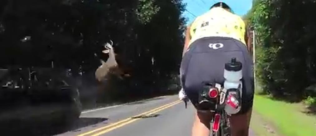 “Ιπτάμενο” ελάφι περνάει πάνω από τα κεφάλια ποδηλατών! (βίντεο)