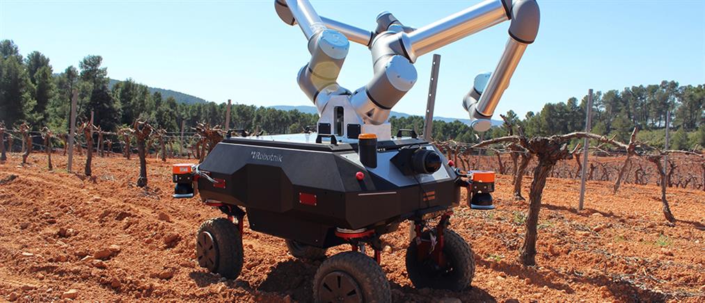 ΑΠΘ - BACCHUS: Ένα ρομπότ στον αμπελώνα (εικόνες)