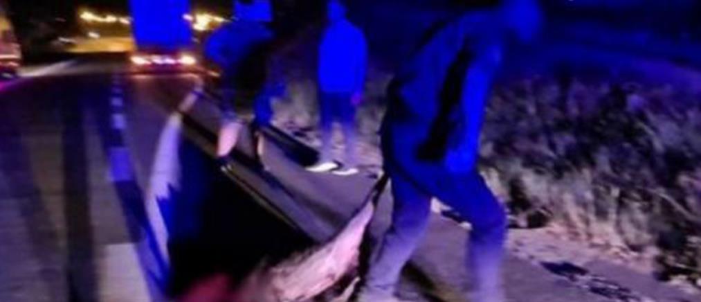 Τροχαίο - Λαμία: Aγριογούρουνο συγκρούστηκε με δύο αυτοκίνητα