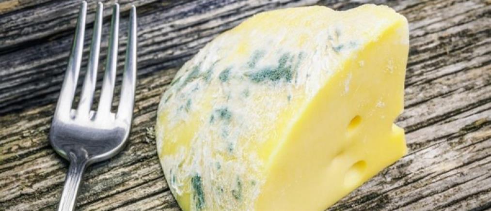 Πάνω από 150 κιλά μουχλιασμένο τυρί κατάσχεσαν οι Αρχές