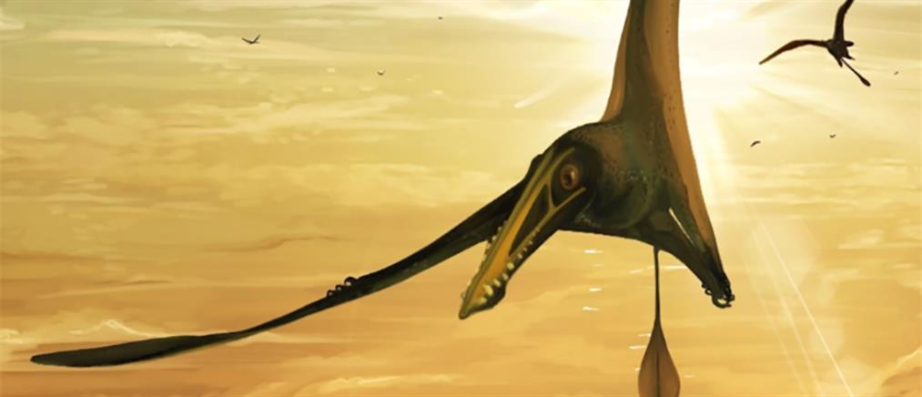 “Ο Δράκος του Θανάτου”: Βρέθηκε τεράστιος πτερόσαυρος