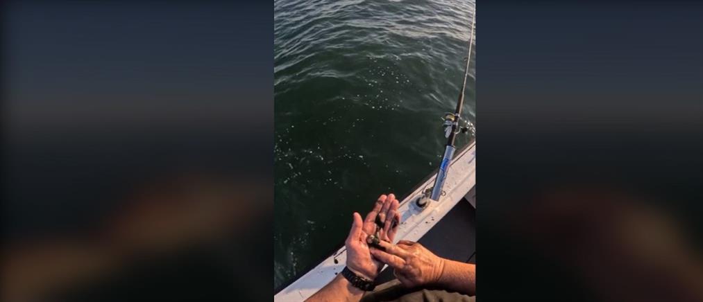 Viral ο ψαράς που…βάφτηκε με μελάνι σουπιάς (βίντεο)