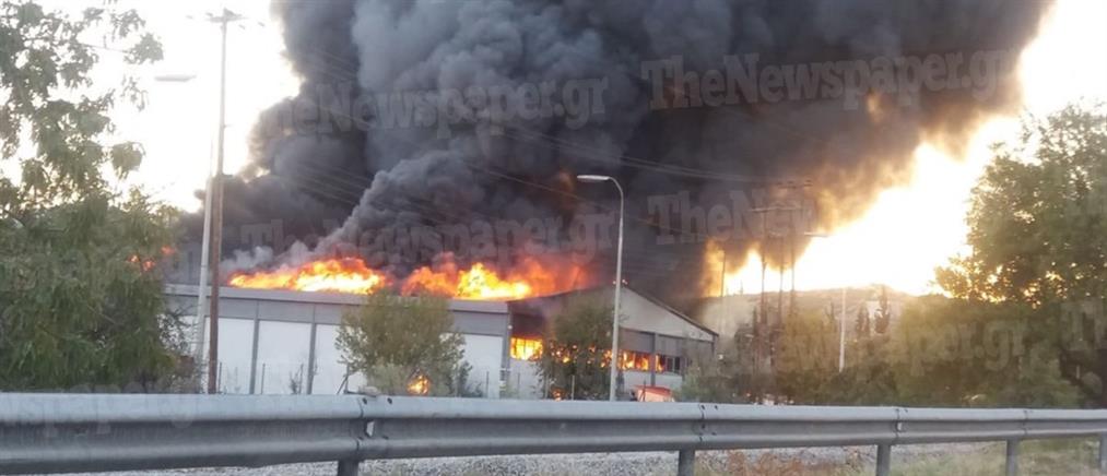 Βόλος: Μεγάλη φωτιά σε εργοστάσιο (εικόνες)